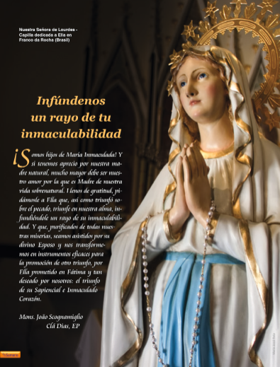 Revista Heraldos del Evangelio (suscripción anual)